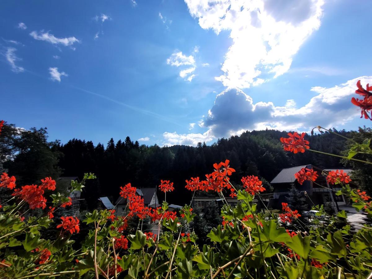 Rezydencja Lesny Dwor Piwniczna-Zdroj Экстерьер фото