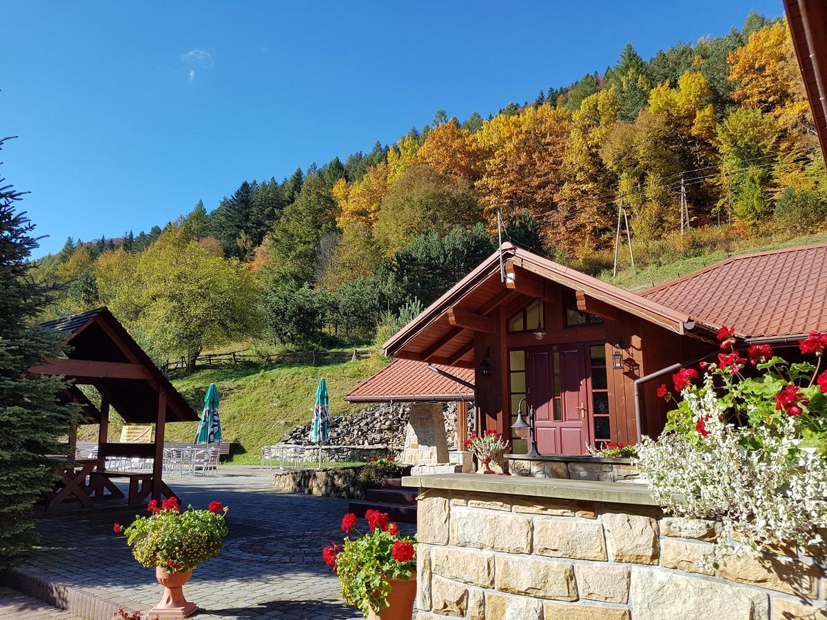Rezydencja Lesny Dwor Piwniczna-Zdroj Экстерьер фото
