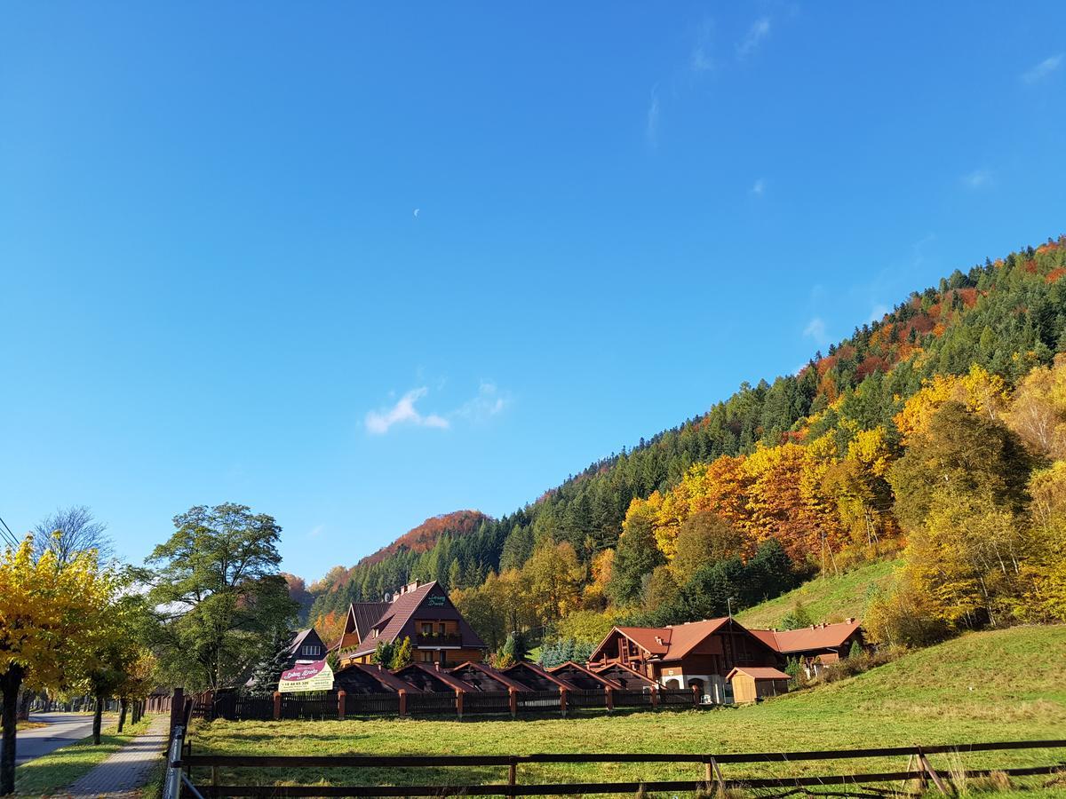 Rezydencja Lesny Dwor Piwniczna-Zdroj Экстерьер фото